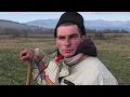 Lagu Viața de cioban cu Didi / Cel mai tare cioban din Alba 
