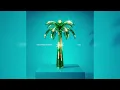 Kygo, Carter Faith - That's When You Know (Demo Lollapalooza Argentina)