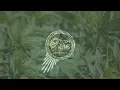 Just A Gent, rando - wake up (DMCA / ROYALTY FREE
