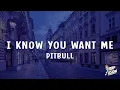 Download Lagu Pitbull - I Know You Want Me (Calle Ocho) [Lyrics]