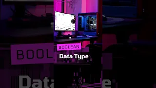 JavaScript Data Types