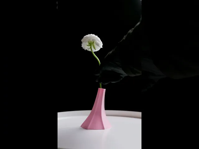 Stem Vase Single video thumbnail