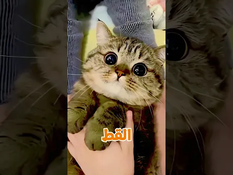 تحدّى الجميع بكوعه فقط 💥