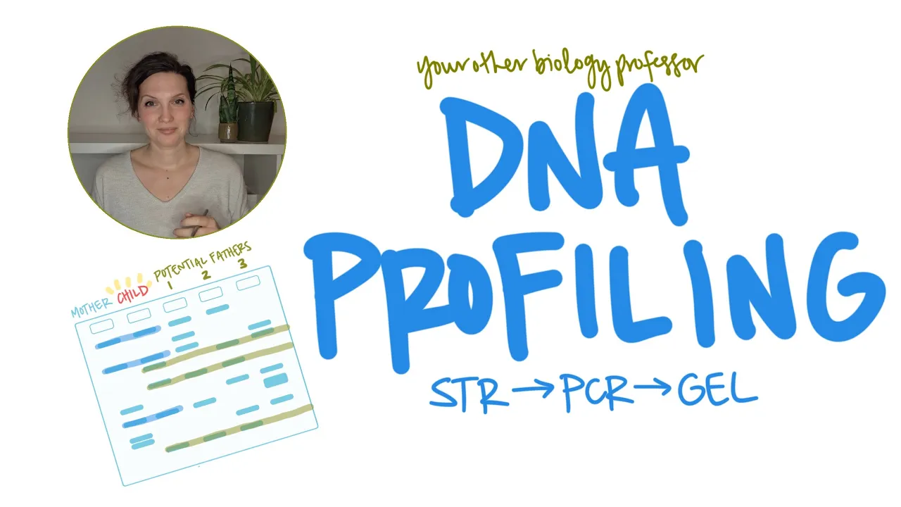 From Sample to Identity - DNA Profiling