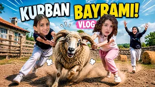 BAYRAM VLOG! ESMANUR ELİF VE NİSA BAYRAMDA KAÇAN KURBANLIK DANAYI ARIYOR!!