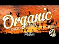Download Lagu Paru @ Jamu Sessions, [Ethnic Organic House]  Chapada dos Veadeiros/GO, Aug 02, 2025
