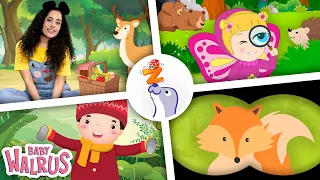 Ανακαλύπτουμε το Δάσος με την ΠΙΚΑΜΠΟΥ! 🌲🦊 Ζωάκια, I Spy & Τραγούδια | Zouzounia × Baby Walrus