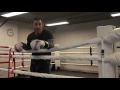 Primal Boxing Club