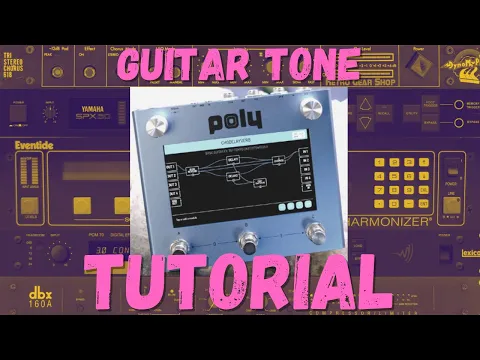 Poly Effect Beebo Multi-FX Pedal | Delicious Audio