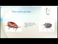 Debugging apps - logical errors
