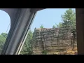 Bald Eagle - Wisconsin Dells