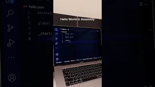 Python vs Java vs Assembly Hello World Performance Comparison