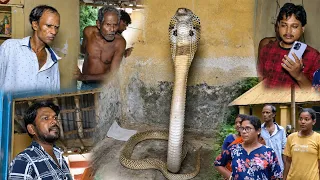 Khana Khate Waqt Peeche Khada Tha Cobra! Jaise Hi Dekha😨