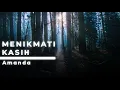 Download Lagu Menikmati Kasih - Amanda (lirik)
