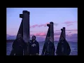 Falls of Rauros - The Light That Dwells in Rotten Wood - Silence