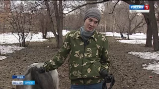 В детском  зоопарке новый обитатель