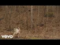Niko Moon - COUNTRY SONG