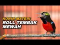 Lagu KOMPILASI ROLL TEMBAK MEWAH KONIN GACOR FULL ISIAN BREN CIBLEK COCOK UNTUK MASTERAN KOLIBRI NINJA