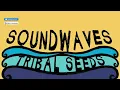 Tribal Seeds - In Your Eyes