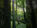 Download Lagu Walking the ancient path #shorts