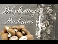 Dehydrating Mushrooms for Long Term Food Stroage