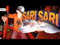 Download Lagu P1 - Iba't Iba ang Nahuling Isda ng Raptor Boys