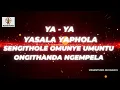 FEZA - SENGITHOLE OMUNYE (LYRICS)