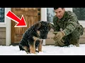 A Frozen Puppy Begged to Be Let In What the Marine Found Next Left Him in Tears