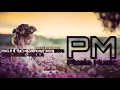 Pixels Music - Pixels & The Magnificent Boys | ("Amity Gardens") High Pitched Studios