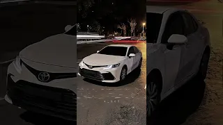قلبي يبكي ينوح  دندنها