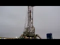 Cactus drilling