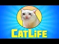 Bitlife Made A Catlife Game And It Is WILD