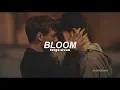 Download Lagu Troye Sivan - Bloom (Traducida al español)