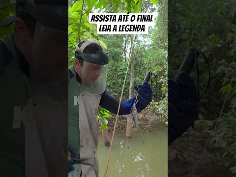 Os especialistas falaram que tinha que usar epi, no vídeo anterior arranquei nos dentes o ferrão.