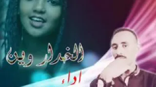 الفنان جادالله الطيب 