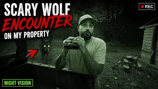SCARY WOLF ENCOUNTER on MY PROPERTY USING WOSPORTS NIGHT VISION BINOCULARS