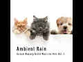 Calming Daybreak Rain Sound