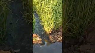 نعم على باب الكريم قصدت حبه اجمل المناظر الخلابة 