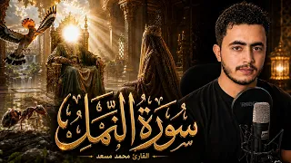 سورة النمل كاملة   القارئ محمد مسعد عطالله   تلاوة تخشع لها القلوب   دندنها