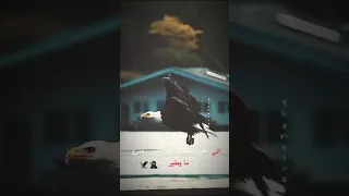 الصحبه فيها وزان وانا اشتري ثكال موكل عبايه تلوك 