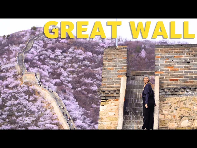Exploring the Great Wall of China at Mutianyu! Cherry Blossoms, Chair Lifts AND CHAOS??