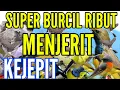 Download Lagu suara pikat BURCIL ribut menjerit kejepit TERBUKTI ampuh MP3