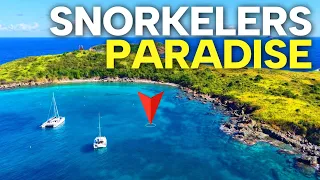 AMAZING snorkeling (and Pizza) spots! Sailing the Virgin Islands days 6-7