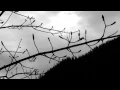 Download Lagu Sadness - Bewailing the Saturnine Moonlight