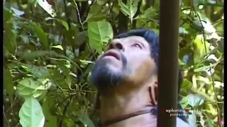 live 24 7 tears of the girls in amazon rain forest ep 19
