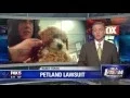 I-Team Petland Sues Protester