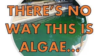 GREEN Pool Walls BUT The Water Is CLEAR What s Going On
