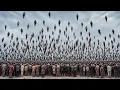 Ek Ek Karke Sabhi Insaan Gayab Ho Gaye Gantz 2010 Movie explained in