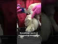 The best clipper to groom a matted dog