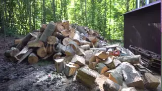 Big Heap of Chopped Woods After Hewing